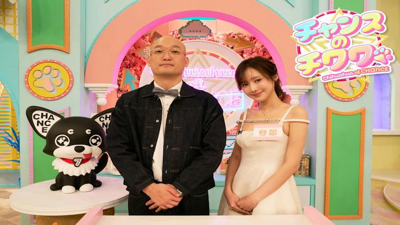 テレビ東京「チャンスのチワワ」番組紹介画像